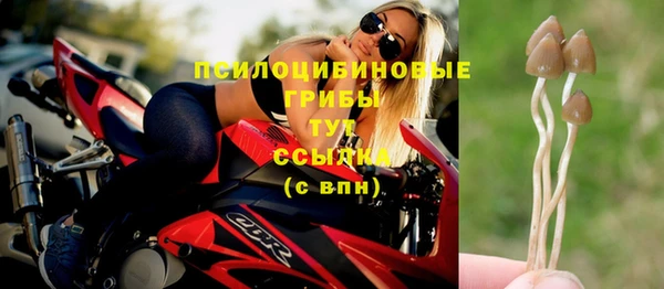 мяу мяу мука Армянск