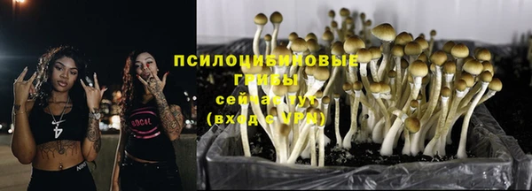 мяу мяу мука Армянск