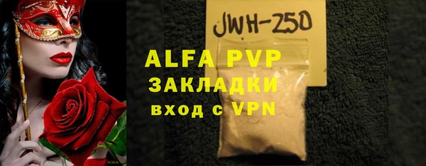 гашик Арсеньев