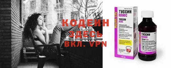 гашик Арсеньев