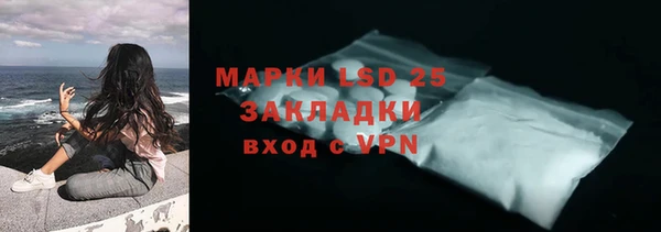гашик Арсеньев