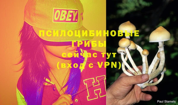 гашиш Аркадак