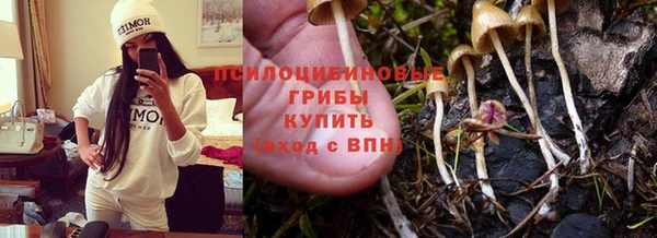 гашиш Аркадак