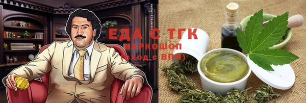 гашик Арсеньев