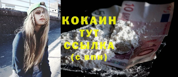 гашик Арсеньев